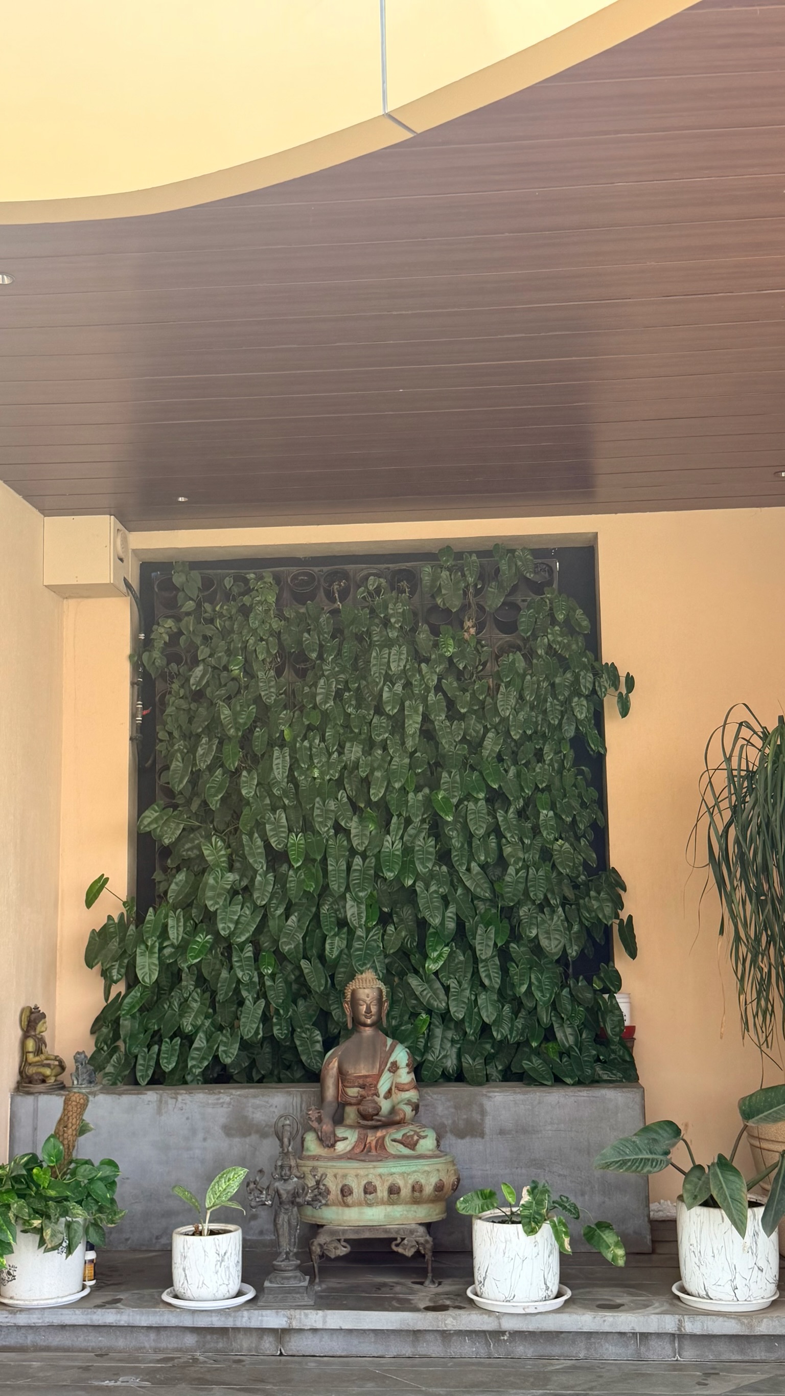Outdoor greenery
