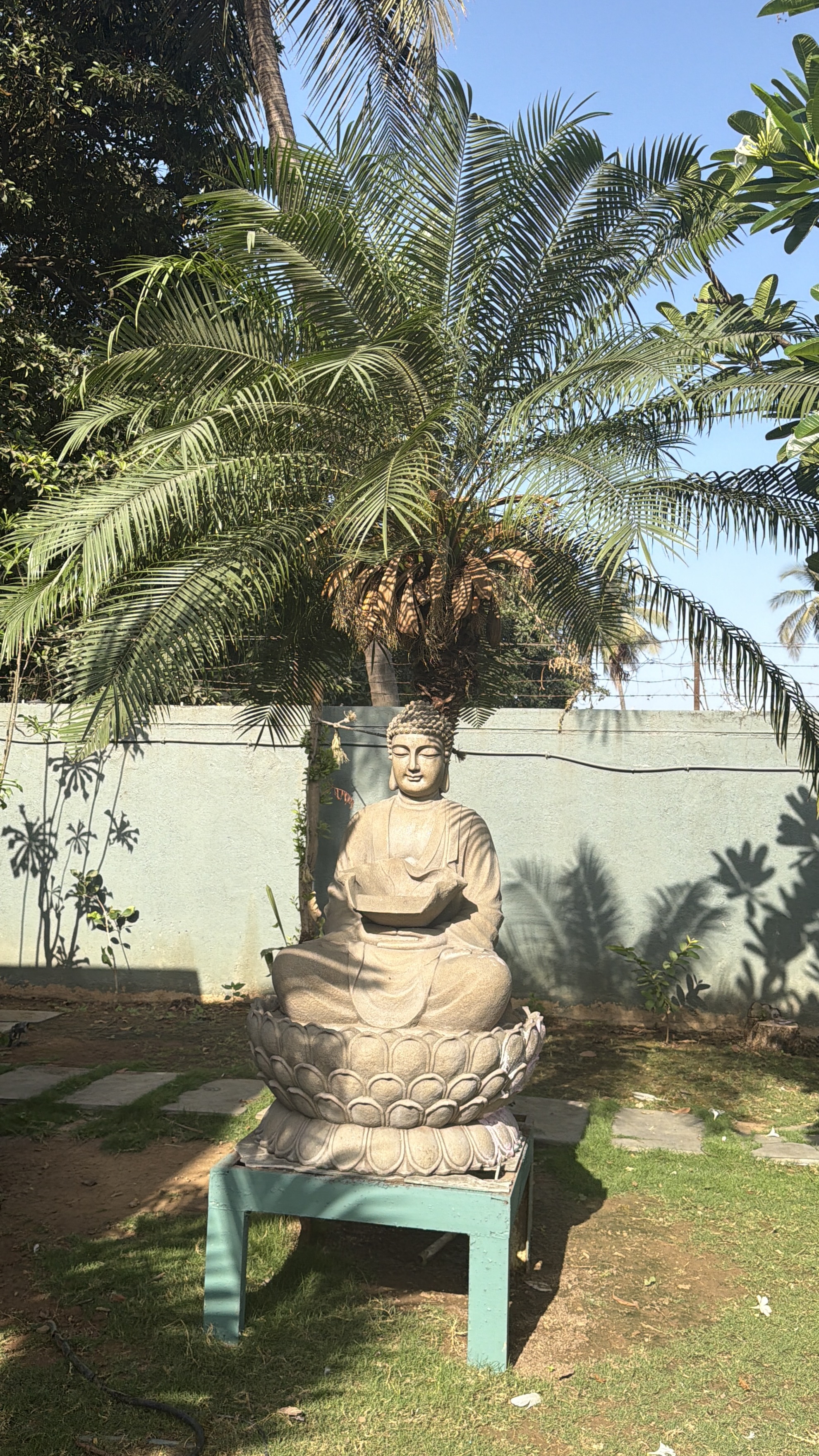 Rajhans Evana garden project