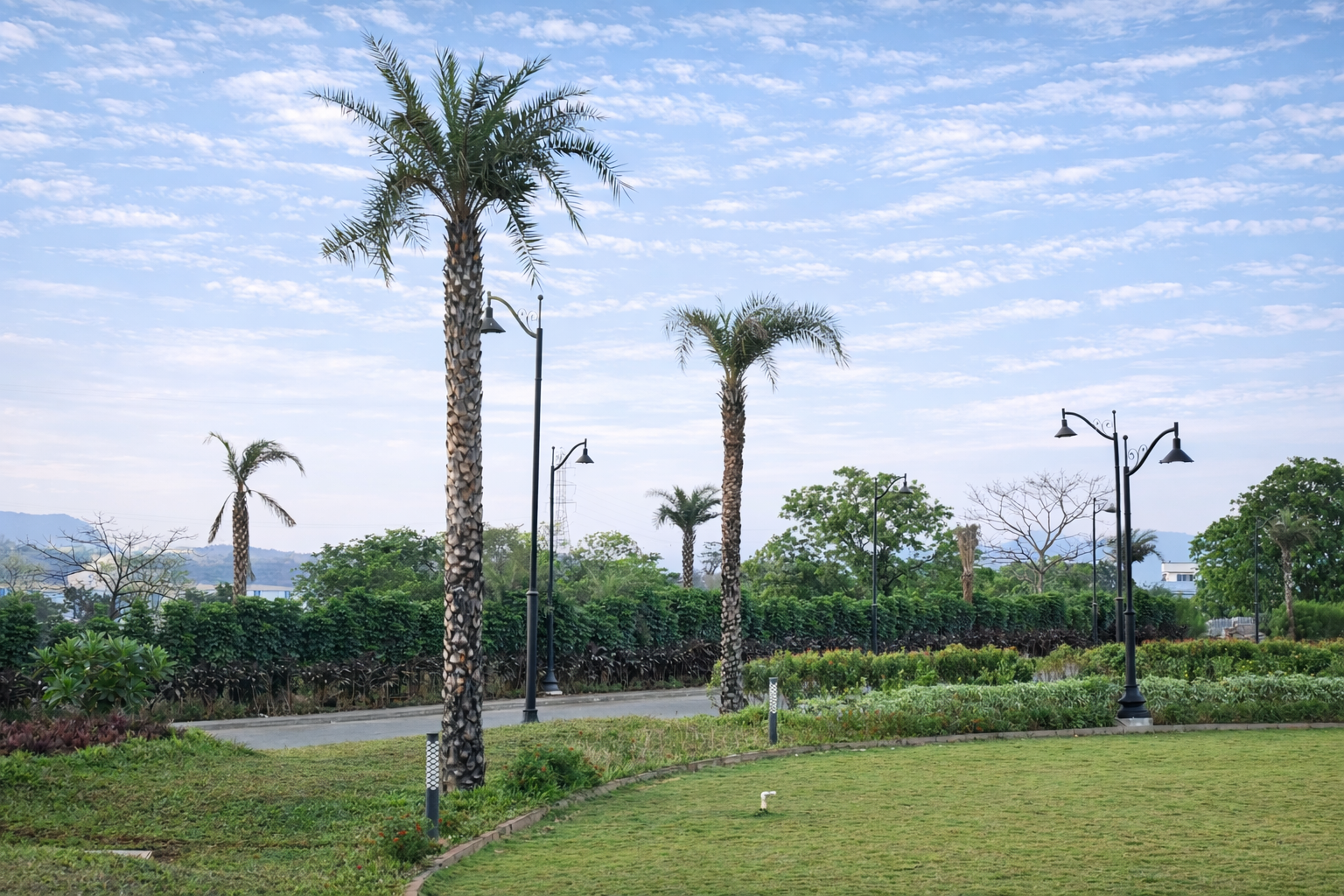 Main garden lawn view