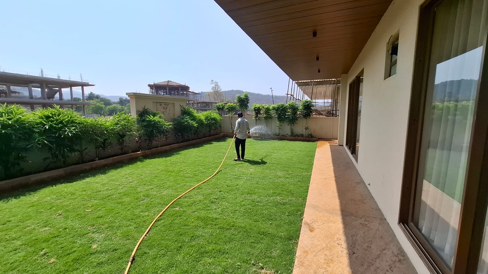 Outdoor greenery