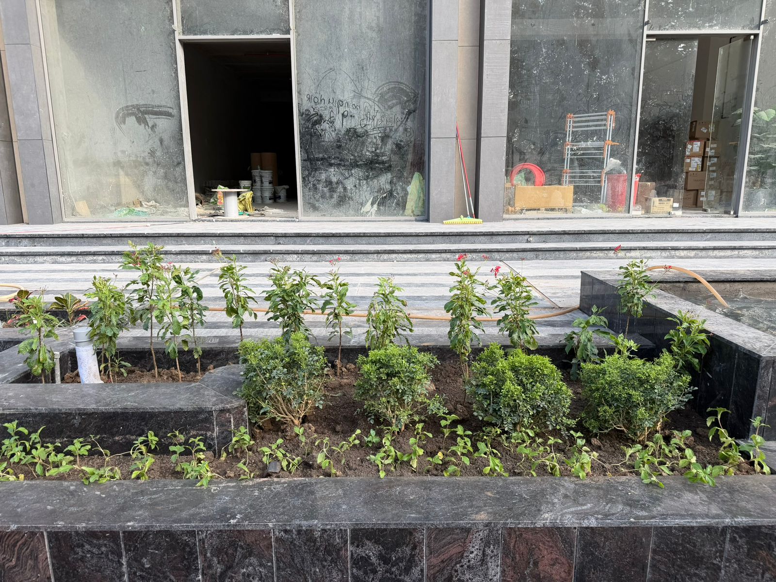 Upcoming rooftop garden project