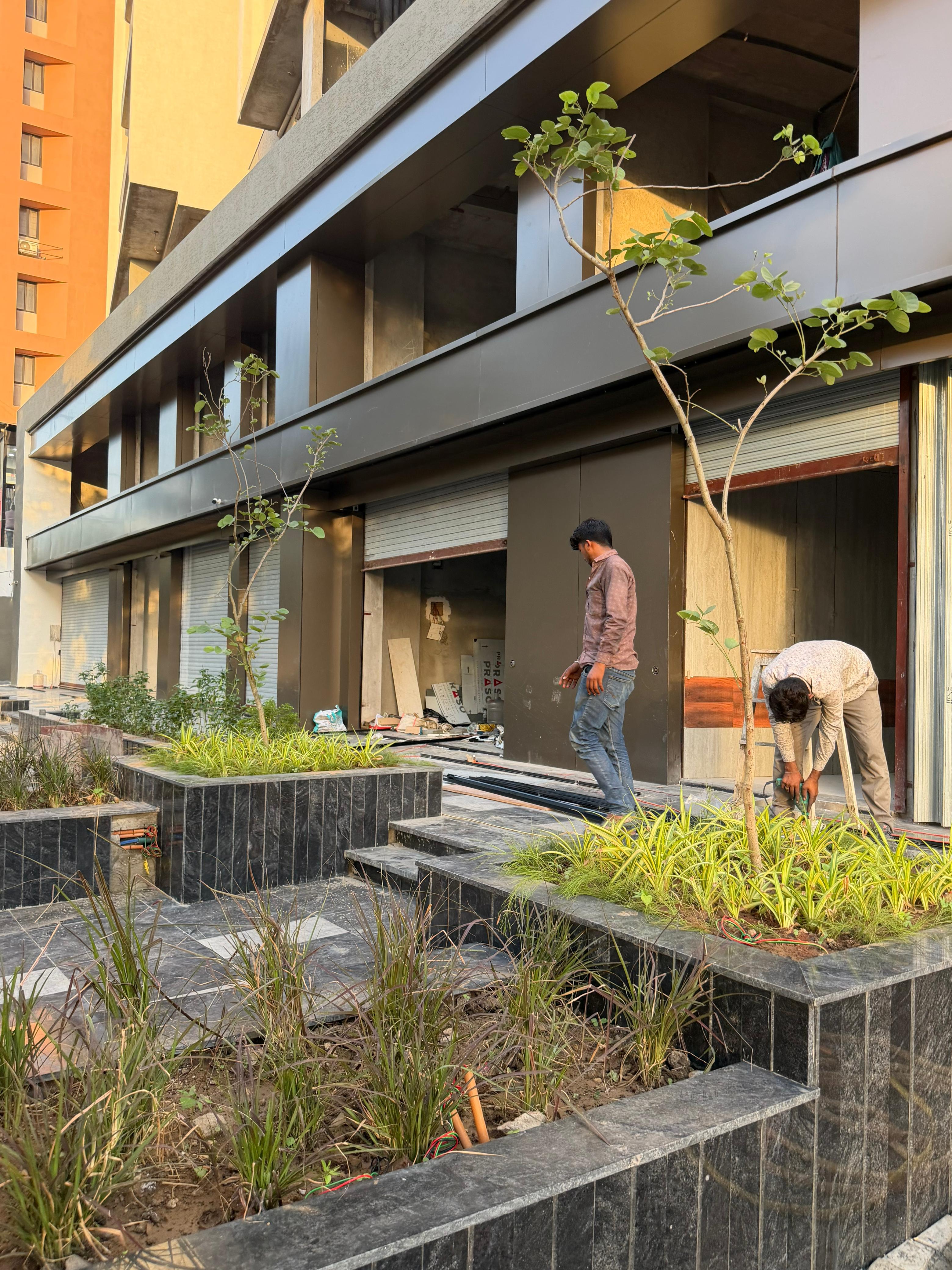 Upcoming flower garden project